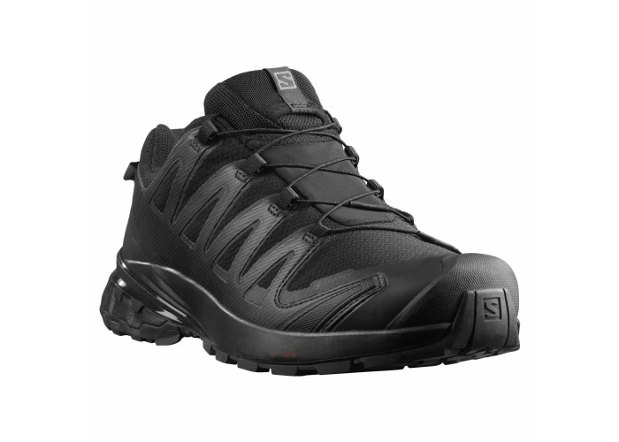 Кросівки SALOMON XA PRO 3D V8 GTX