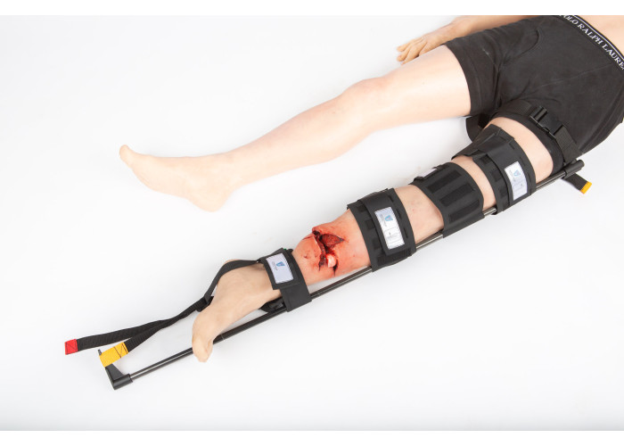 Тракційна шина "Прометей"