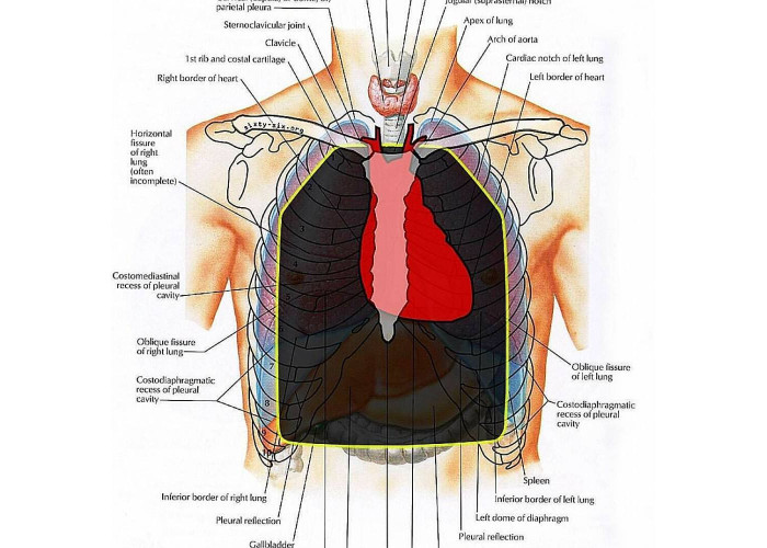 Американська керамічна бронепластина ESAPI – Medium. REV.G